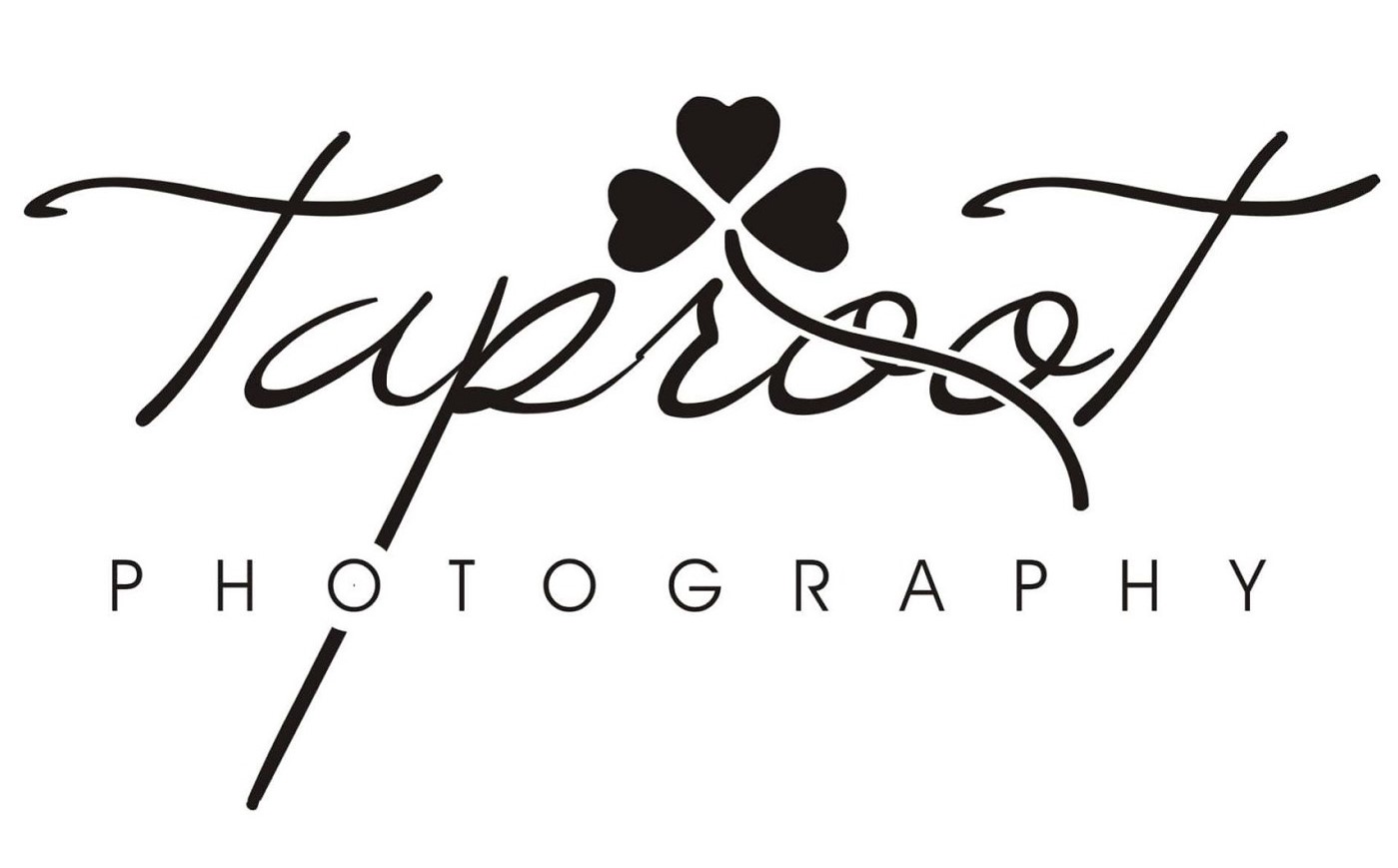 Taproot Photographer - Supporting Businesses in Virginia Water